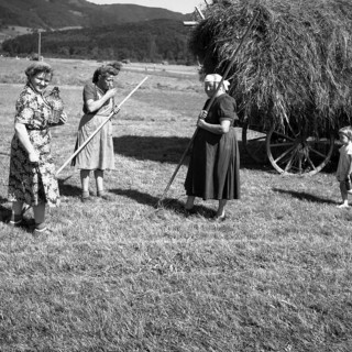 Woman giving water to field workers