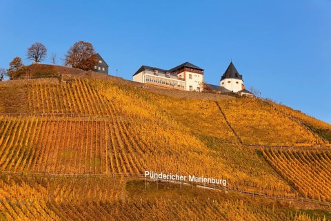 View of Marienburg Castle over vineyards in autumn