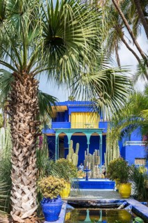 Blue House in the Jardin Majorelle Botanical Garden