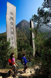 Hikers in front of wooden stelae at Wisdom Path