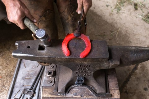 Farrier shapes a glowing horseshoe on an anvil