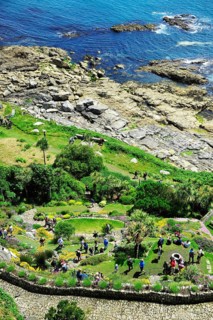 Subtropical gardens at the foot of Mount St. Michael's Mount