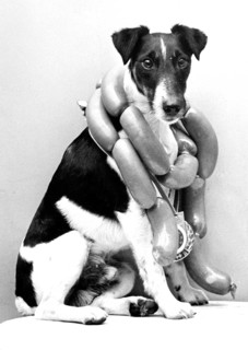 Dog with chain of sausage around his neck