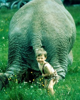 Child pulls elephant on tail