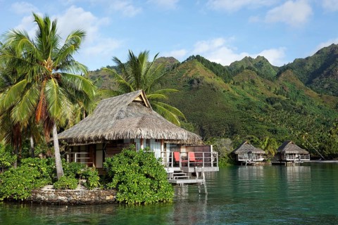 Bungalows by the sea with palm trees in front of green hills