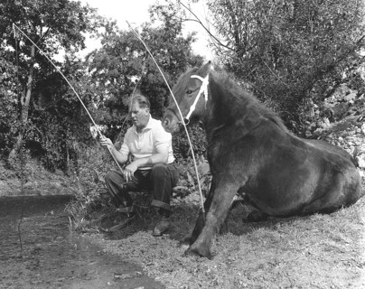 Horse and man fishing