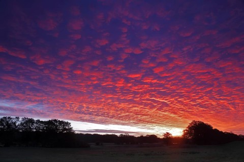 Sunrise with Altocumulus clouds over the Lobben Lake