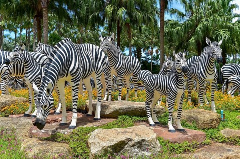 Zebra figures
