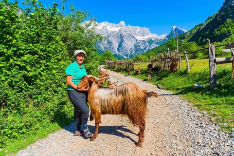 Shepherdess and her goats