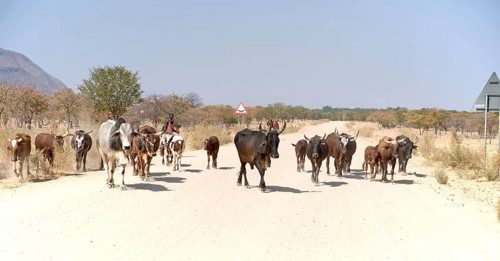Himba men