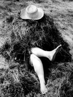 Legs sticking out of haystacks approx. 1970s