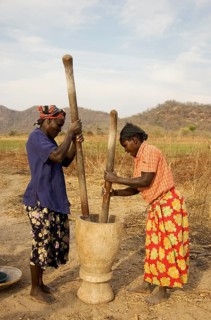 Tonga women pounding grain