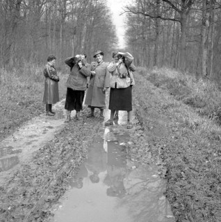 Humans on a forest road
