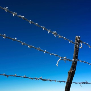 Barbed wire with frost in winter in front of blue sky
