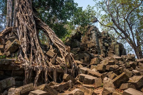 Tree-rooted Khmer Temple Ruin
