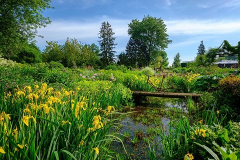 Show garden