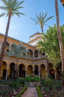 Courtyard with palm trees