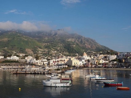 Harbor with fishing boats