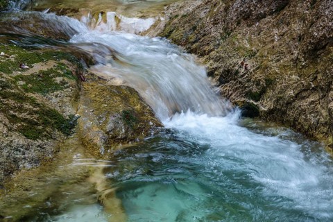 Wildbach in the Almbachklamm
