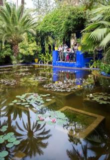 Pond