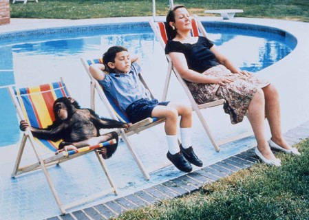 Monkey in company at the swimming pool