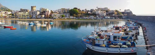 Harbor with fishing boats