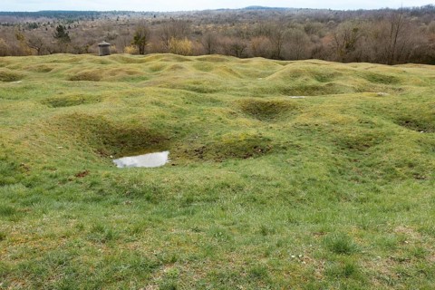 Open terrain with grenade funnels overgrown with grass