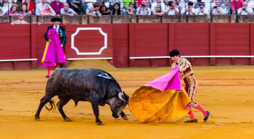 Racing bull with matador