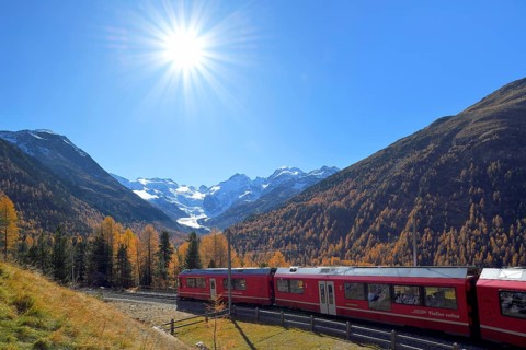 Bernina Express runs through larch forest in autumn