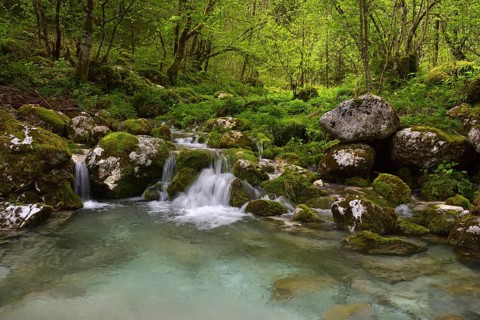 A small mountain stream flows into the river Lepena