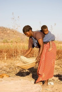 Tonga woman with child on her back sifting grains