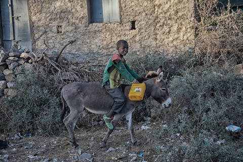 Child rides on donkey