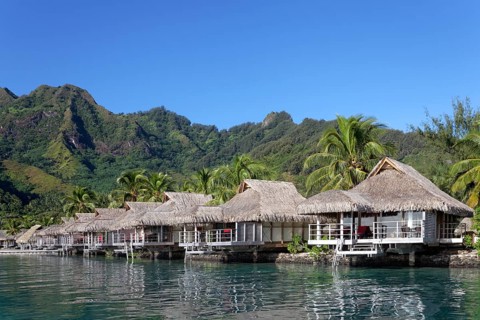 Bungalows by the sea with palm trees in front of green hills