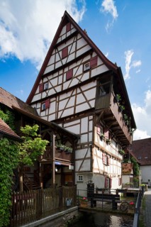 Hoher Wil