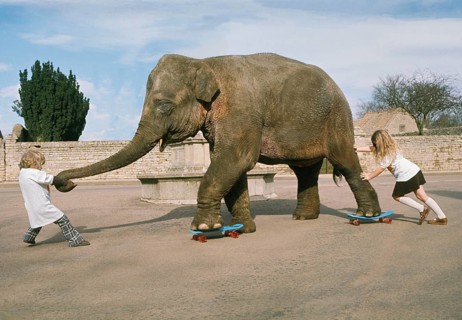 Two girls playing with an elephant