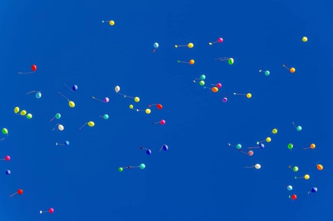 Colorful balloons rise to the sky