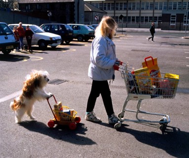 Woman and dog with shopping cart