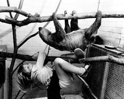 Sloth and girls climbing