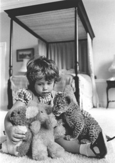 Girl plays with a baby predator and stuffed animals