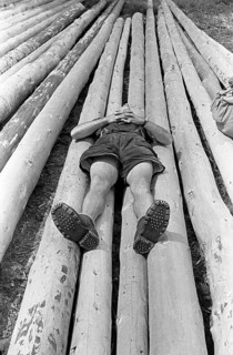 Child lying on felled tree trunks and resting