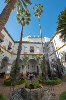 Courtyard with palm trees