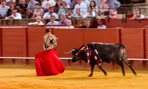 Racing bull with Matador