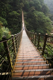 People on suspension bridge