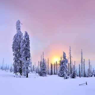 Sunset on the mountain Grosser Rachel in winter