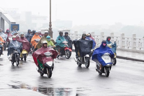 Mopeds on street during rain