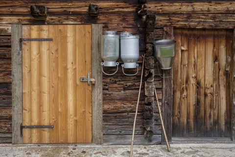 Milk pots hanging on stable wall