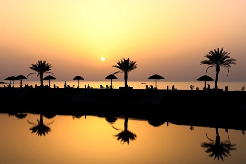 Sunset with water reflection from palm trees and sunshades