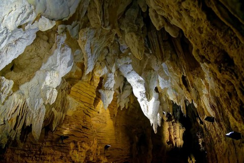 Ceiling hanging stalactites in the dripstone cave Aranui Cave