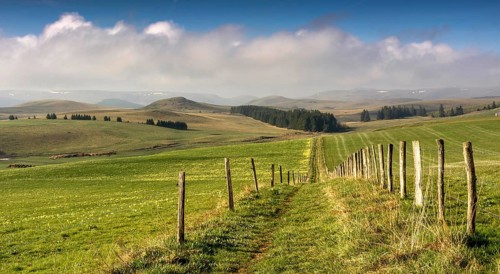 Path between pastures