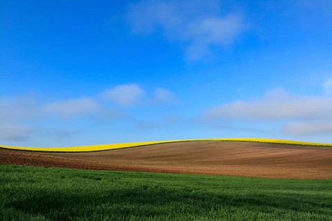 Hilly agricultural landscape